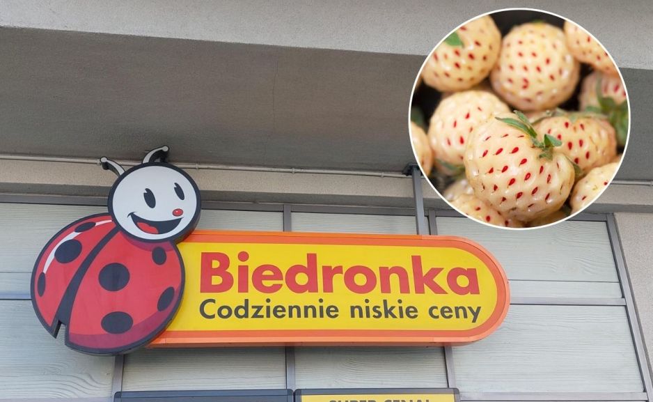 białe truskawki
