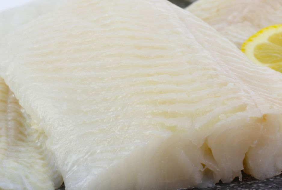 Halibut