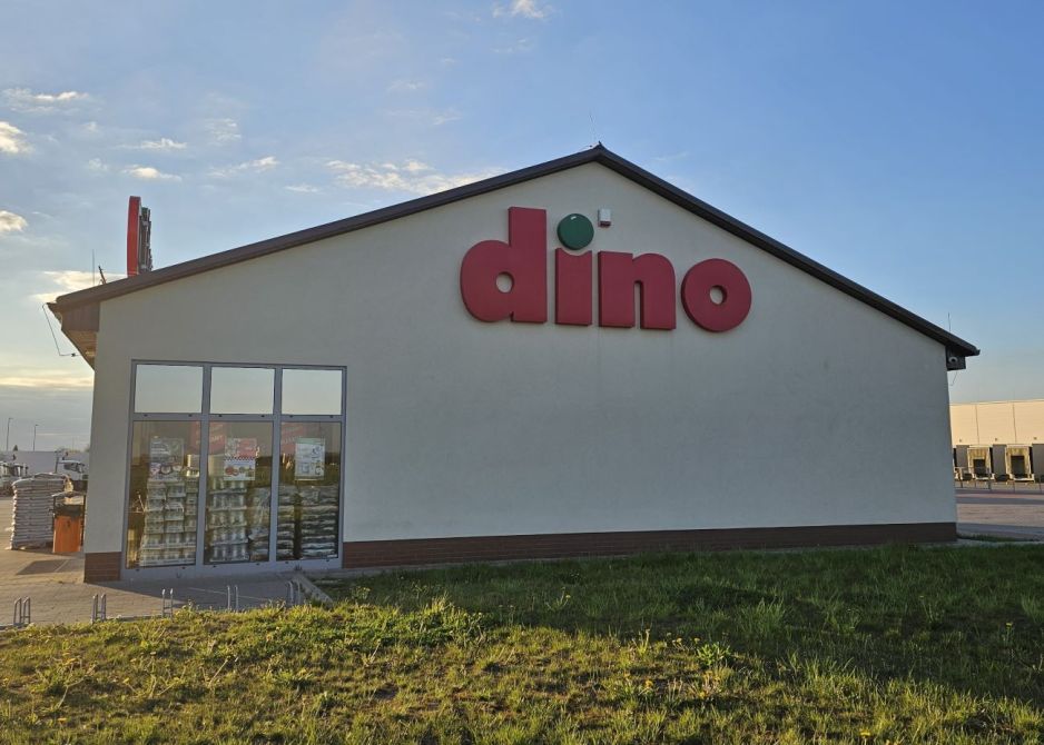 promocja w dino