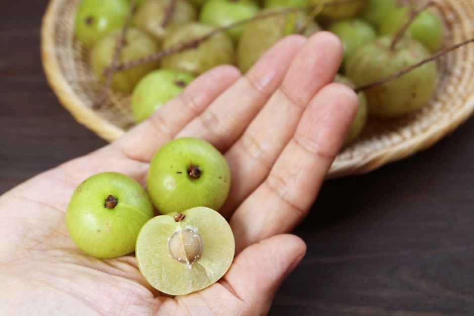 Amla (agrest japoński)