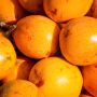 Granadilla