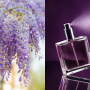 perfumy wisteria
