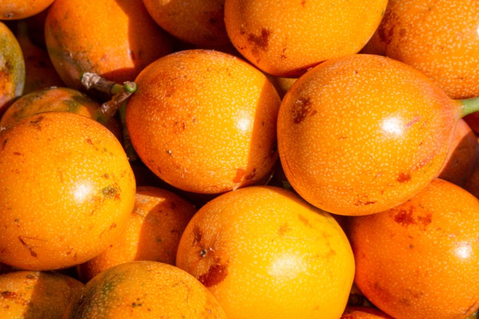 Granadilla