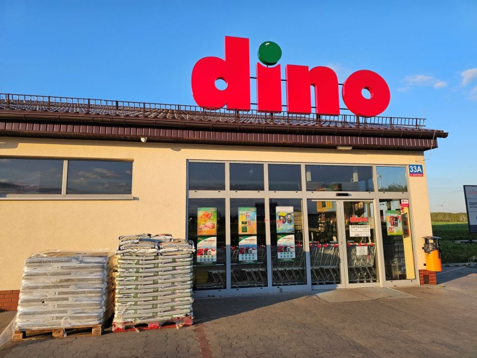 kawa w dino