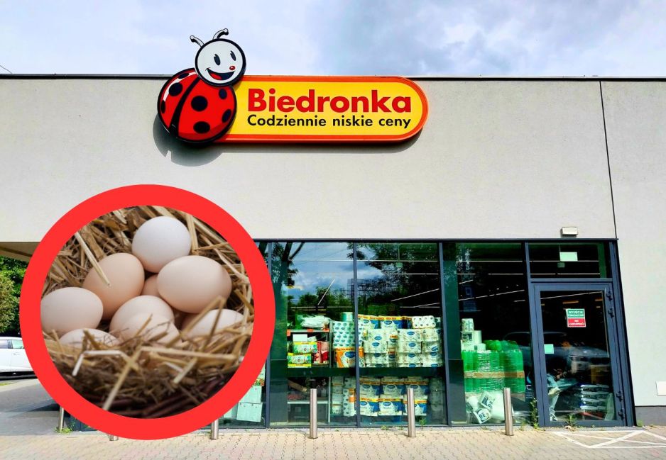 promocja na jajka z Biedronki