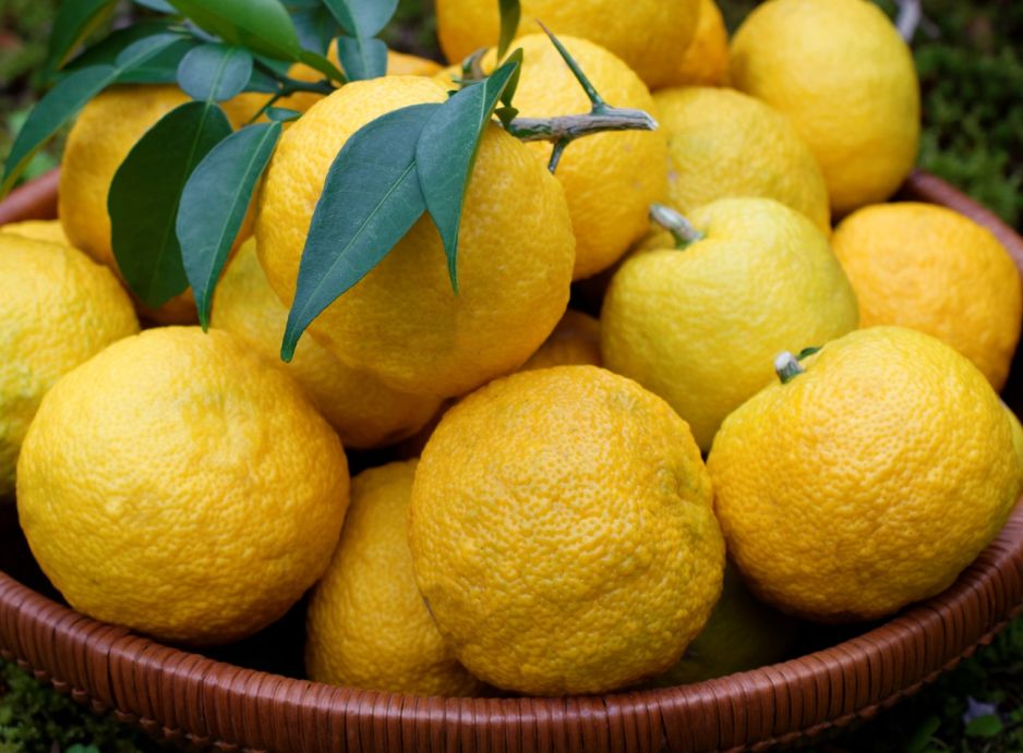 yuzu