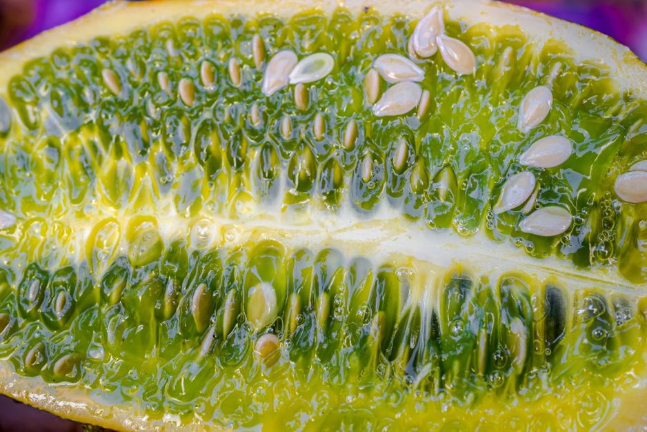 kiwano