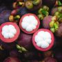 Mangostan