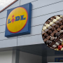 Praliny w promocji Lidla