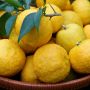 yuzu