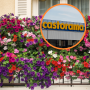 castorama