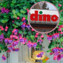dino